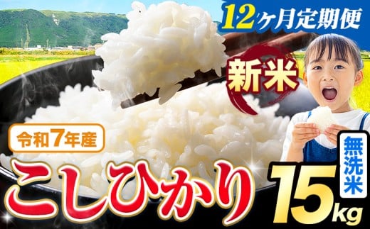 【12ヶ月定期便】令和7年産 新米 無洗米 こしひかり 15kg《お申込みの翌月出荷》熊本県産 ふるさと納税 無洗米 精米 ひの 米 こめ ふるさとのうぜい コシヒカリ コメ お米 おこめ