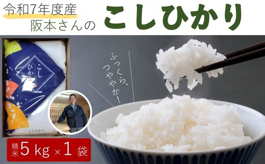 コシヒカリ 精米5kg 令和7年産 ｜ 久万高原町 米 新米 お米 こめ コメ 愛媛 ※2025年9月下旬頃より順次発送予定 ※離島への配送不可 1452547 - 愛媛県久万高原町