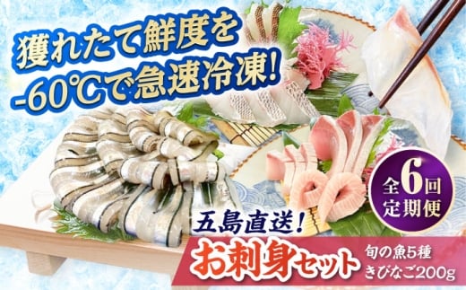 【全6回定期便】超速冷凍鮮魚6種（5種+きびなご）五島市/金沢鮮魚 魚 キビナゴ 鮮魚 鮮魚ボックス [PEP066]