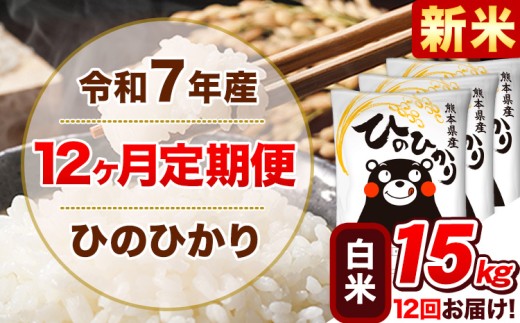 新米 令和7年産【12ヵ月定期便】 白米 ひのひかり 定期便 15kg 5kg×3袋《お申込み翌月から出荷開始》 熊本県産 精米 ひの 米 こめ ヒノヒカリ コメ お米