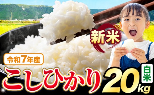 令和7年産 新米 白米 こしひかり 20kg《9月下旬-11月上旬頃出荷》熊本県産 ふるさと納税 無洗米 白米 精米 ひの 米 こめ ふるさとのうぜい コシヒカリ コメ お米 おこめ