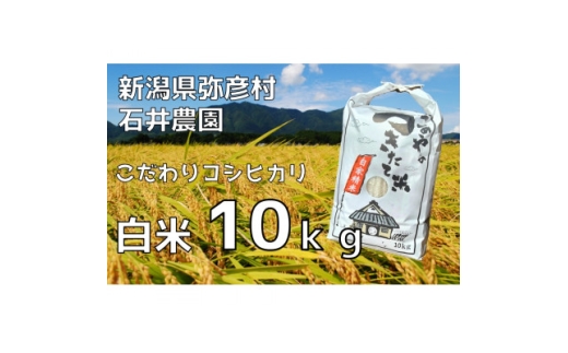 新潟県弥彦村石井農園　令和7年産コシヒカリ＜白米 10kg＞【1508847】