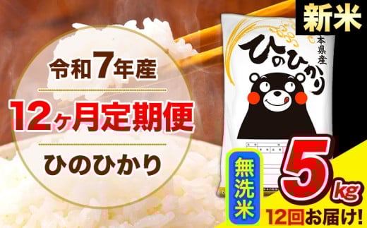 新米 令和7年産 ひのひかり 【12ヶ月定期便】 無洗米  5kg (5kg×1袋) 計12回お届け 《お申し込み月の翌月から出荷開始》 熊本県産 無洗米 精米 ひの 米 こめ お米 熊本県 長洲町