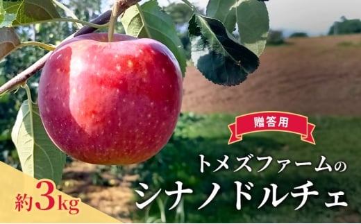 シナノドルチェ（贈答用） 約3kg（8玉〜12玉入り）トメズファーム　りんご　長野　信州　小諸　果物　フルーツ [№5915-1655]