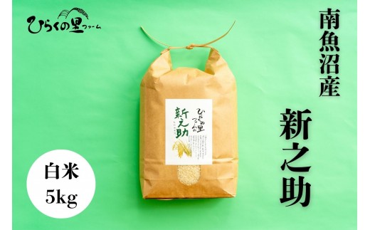 【令和7年産新米予約】金賞 南魚沼産新之助 白米5kg きらめく大粒！ ひらくの里ファーム【2025年11月上旬より順次発送予定】