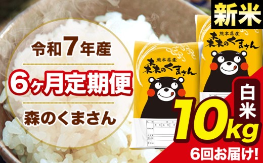 新米 令和7年産 森のくまさん 白米 10kg 5kg×2袋 計6回お届け 《お申し込み月の翌月から出荷開始》 お米 こめ 熊本県産 ご飯 備蓄