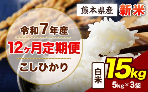 【12ヶ月定期便】令和7年産 定期便 こしひかり 15kg 新米 白米 阿蘇 うぶやま 米 定期便 熊本県産 ふるさと納税 精米 ひの 米 こめ ふるさとのうぜい コシヒカリ コメ お米 おこめ《申込み翌月から出荷》