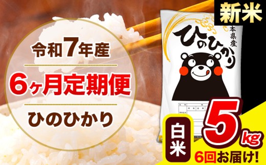 新米 令和7年産  ひのひかり 【6ヶ月定期便】 白米  5kg (5kg×1袋) 計3回お届け 《お申し込み月の翌月から出荷開始》 熊本県産 白米 精米 ひの 米 こめ お米 熊本県 長洲町