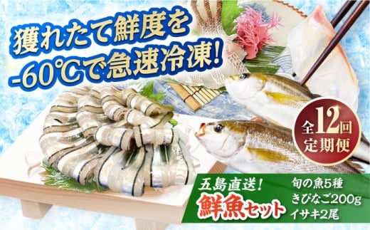 【全12回定期便】超速冷凍鮮魚7種（鮮魚5種+冷凍きびなご200g+焼物用いさき2尾）五島市/金沢鮮魚 [PEP071]