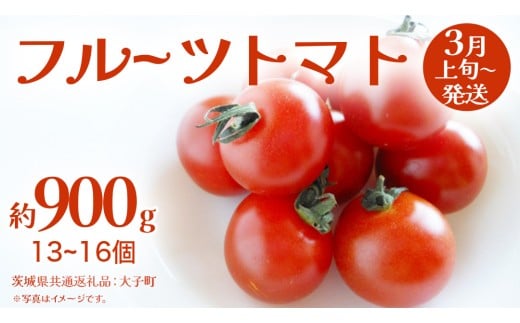 フルーツトマト 約900g (13～16個)【2026年3月上旬発送開始】(茨城県共通返礼品：大子町) トマト とまと 野菜 やさい