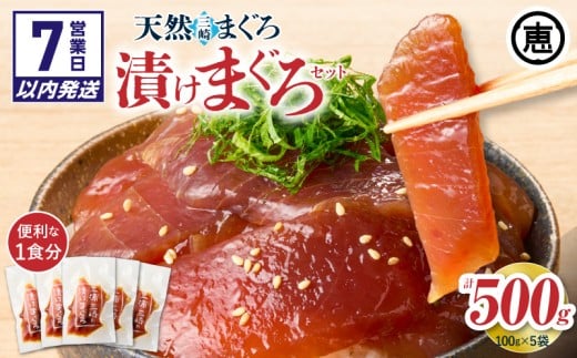 [7営業日以内に発送]手軽にタンパク質!まぐろ漬け丼のもと 100g×5袋(解凍するだけ、ご飯にのせるだけ) M020-015-sp