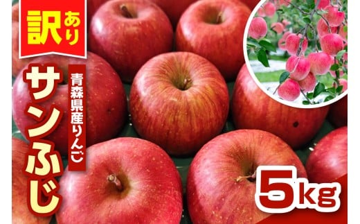 りんご 青森 サンふじ 5kg 程度 [ 訳あり ] 農家直送 [配送時期が選べる: 11月 12月 ]サンフジ 青森県 五所川原市 傷 キズ ワケアリ 林檎 リンゴ apple