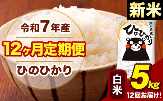 新米 令和7年産 【12ヶ月定期便】 白米 米 ひのひかり 5kg《お申し込み月の翌月から出荷開始》熊本県 大津町 国産 熊本県産 白米 送料無料 ヒノヒカリ こめ お米