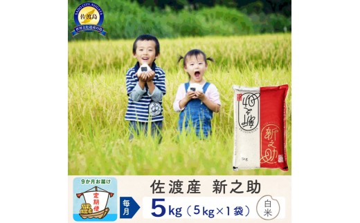 【新米予約 9か月定期便】佐渡島産 新之助 白米5Kg 令和7年 2261815 - 新潟県佐渡市