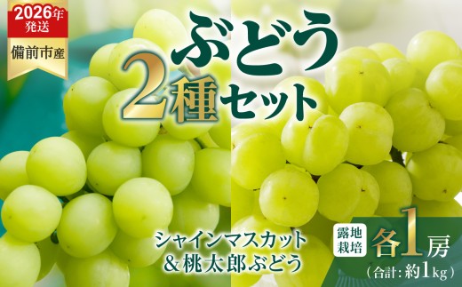 【2026年発送分　先行受付開始！】びぜん葡萄「シャインマスカット」「桃太郎ぶどう」（露地栽培）各1房入（令和8年8月下旬～10月中旬頃発送）【 岡山県備前市産 シャインマスカット 桃太郎ぶどう 露地栽培 各1房 セット 樹上完熟 】 2274853 - 岡山県備前市