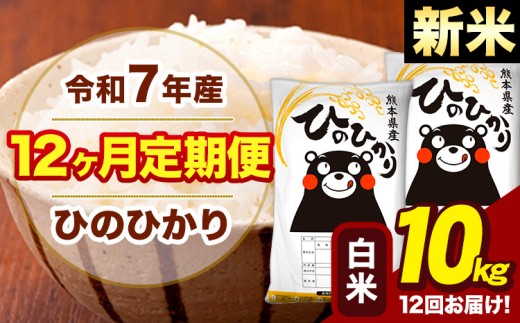 新米 令和7年産 【12ヶ月定期便】 白米 米 ひのひかり 10kg《お申し込み月の翌月から出荷開始》熊本県 大津町 国産 熊本県産 白米 送料無料 ヒノヒカリ こめ お米 