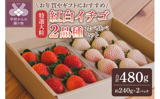 【2025-2026発送分】特選大粒 紅白イチゴ2品種食べ比べセット いちご イチゴ 苺 紅白イチゴ 紅白いちご 紅白苺 特選大粒 先行予約 食べ比べ セット ギフト 贈答 プレゼント 採れたて フルーツ 計2品種 約240g×2パック 冷蔵 フルーツ王国山梨 甲府市産 1310888 - 山梨県甲府市