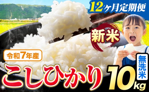 【12ヶ月定期便】令和7年産 新米 無洗米 こしひかり 10kg《お申込みの翌月出荷》熊本県産 ふるさと納税 無洗米 精米 ひの 米 こめ ふるさとのうぜい コシヒカリ コメ お米 おこめ