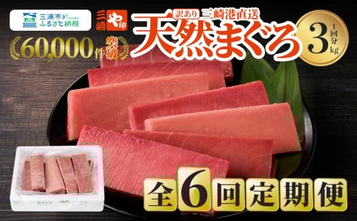 【全6回定期便】老舗三崎まぐろ問屋から直送！天然マグロ赤身 3kgをお届け　M063-T09 2270932 - 神奈川県三浦市