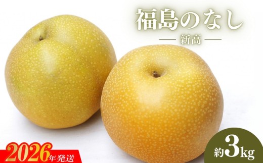 No.2189福島のなし　新高　約3kg 【2026年発送　先行予約】 469395 - 福島県福島市