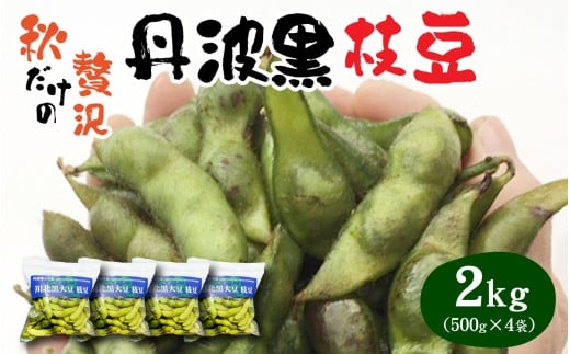 【先行予約】　【期間限定】　【数量限定】 丹波黒大豆 川北黒大豆枝豆さや豆 2kg （500g×4パック） 【2025年10月中旬以降順次発送予定】 / 丹波篠山黒大豆 川北黒大豆