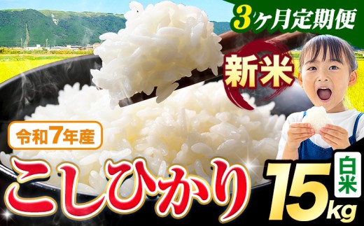【3ヶ月定期便】令和7年産 新米 白米 こしひかり 15kg《お申込み翌月出荷》熊本県産 ふるさと納税 白米 精米 ひの 米 こめ ふるさとのうぜい コシヒカリ コメ お米 おこめ 2267755 - 熊本県苓北町