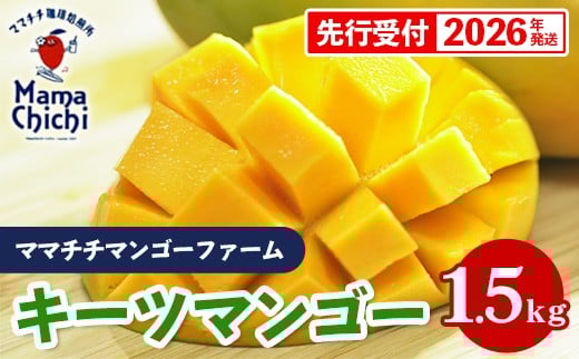 【先行受付】【2026年発送】ママチチマンゴーファームのキーツマンゴー約1.5kg - 先行予約 沖縄 産地直送 南国フルーツ 旬の味覚 沖縄県産 国産マンゴー 希少種 季節の果物 沖縄県 八重瀬町
