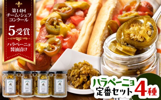 ハラペーニョ 定番セット 4種 / はらぺーにょ 醤油漬け ハラペーニョ ピクルス 唐辛子 調味料 4種 セット 菊陽町 熊本県【こびらオリーブ園】[BHBL005] 2115273 - 熊本県菊陽町