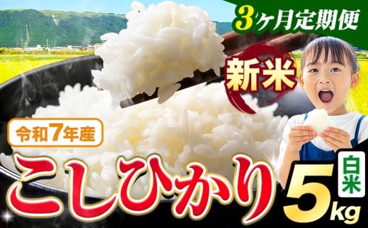 [3ヶ月定期便]令和7年産 新米 白米 こしひかり 5kg[お申込みの翌月出荷]熊本県産 ふるさと納税 白米 精米 ひの 米 こめ ふるさとのうぜい コシヒカリ コメ お米 おこめ