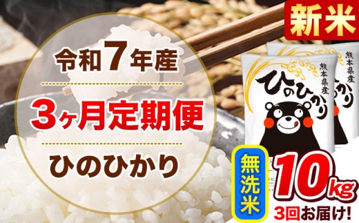 新米 令和7年産 【3ヵ月定期便】 無洗米 ひのひかり 定期便 10kg 5kg×2袋《お申込み翌月から出荷開始》 熊本県産 精米 ひの 米 こめ ヒノヒカリ コメ お米 