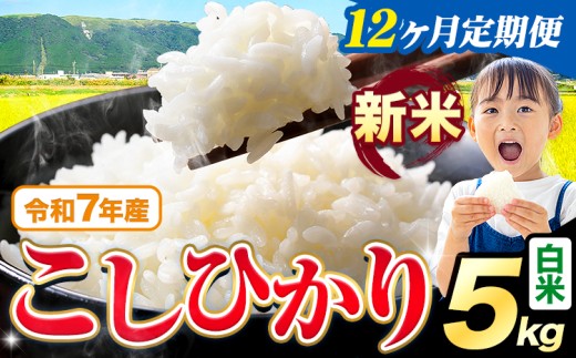 【12ヶ月定期便】令和7年産 新米 白米 こしひかり 5kg《お申込みの翌月出荷》熊本県産 ふるさと納税 白米 精米 ひの 米 こめ ふるさとのうぜい コシヒカリ コメ お米 おこめ 2267983 - 熊本県苓北町