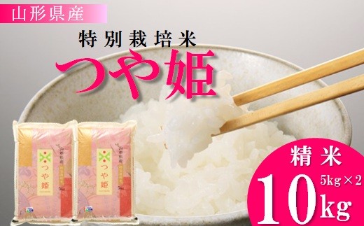 【令和7年産・精米】竹原田ファームの特別栽培米つや姫10kg（5kg×2袋）　※10月中旬頃から順次配送