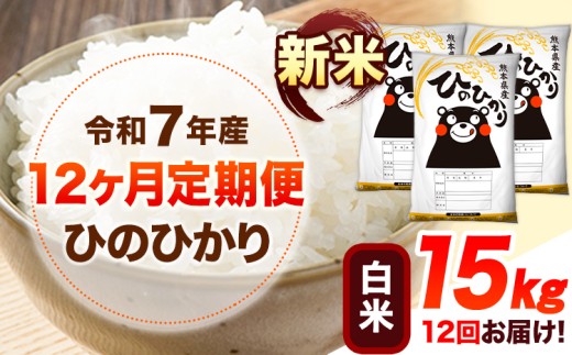 令和7年産【12ヶ月定期便】新米 白米 ひのひかり 15kg 《お申し込み月の翌月から出荷開始》 熊本県産 白米 精米 ひの 送料無料 熊本県 山江村 SDGs 米 コメ こめ 国産