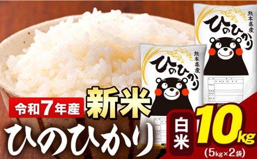 新米 令和7年産 白米 米 ひのひかり 10kg (5kg袋×2)《11月上旬頃までに出荷》熊本県 大津町 国産 熊本県産 白米 精米 送料無料 ヒノヒカリ こめ お米