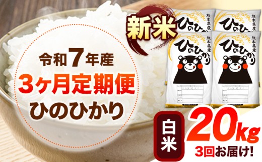 令和7年産【3ヶ月定期便】新米 白米 ひのひかり 20kg 《お申し込み月の翌月から出荷開始》 熊本県産 白米 精米 ひの 送料無料 熊本県 山江村 SDGs 米 コメ こめ 国産