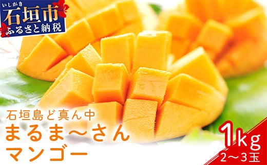 ＜先行予約＞「マンゴー」 ⽯垣島ど真ん中 まるま〜さん マンゴー 1kg (2～3玉) ≪2026年7月頃より順次発送予定≫ (アーウィン種)【 産地直送 マンゴー アーウィンマンゴー アップルマンゴー 沖縄県 八重山 石垣産 アーウィン種 マンゴー フルーツ 果物 】 IT-1 899266 - 沖縄県石垣市