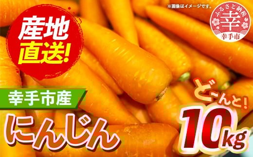 【きあり農園】幸手市産 人参 10kg - 採れたて にんじん ニンジン 産地直送 野菜 ベジタブル 美味しい おいしい 根菜 煮物 炒め物 カレー サラダ おすすめ 送料無料 埼玉県 幸手市