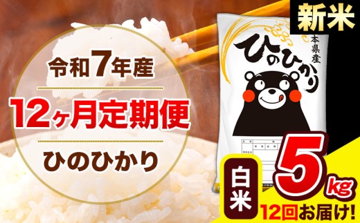 新米 令和7年産 ひのひかり 【12ヶ月定期便】 白米  5kg (5kg×1袋) 計12回お届け 《お申し込み月の翌月から出荷開始》 熊本県産 白米 精米 ひの 米 こめ お米 熊本県 長洲町