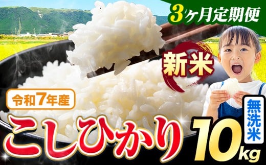 【3ヶ月定期便】令和7年産 新米 無洗米 こしひかり 10kg《お申込み翌月出荷》熊本県産 ふるさと納税 無洗米 精米 ひの 米 こめ ふるさとのうぜい コシヒカリ コメ お米 おこめ 2267758 - 熊本県苓北町