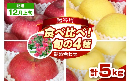 【2025年12月上旬発送】りんご　青森 食べ比べ 4品種<ふじ サンふじ 王林 金星> 5kg 程度 贈答用 青森 農家直送  サンフジ 青森県 五所川原市 贈答 セット 詰め合わせ 林檎 リンゴ apple