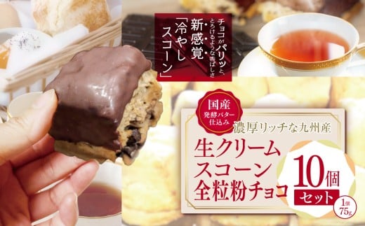 国産発酵バター香る濃厚リッチな九州産生クリームスコーン 全粒粉チョコ10個セット  | お菓子 菓子 おかし 洋菓子 焼き菓子 イギリス菓子 スコーン チョコ 生クリーム 生クリームスコーン 全粒粉 全粒粉チョコ 手作り おやつ デザート スイーツ ティータイム カフェスイーツ 大分県 中津市 1146940 - 大分県中津市