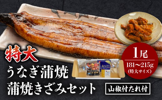 《2026年1月発送予定》国産うなぎ蒲焼(特大サイズ)・蒲焼きざみセット_M069-017_01-jan