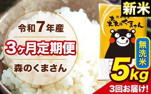 新米 令和7年産 森のくまさん 無洗米 5kg 5kg×1袋 計3回お届け 《お申し込み月の翌月から出荷開始》 お米 こめ 熊本県産 ご飯 備蓄