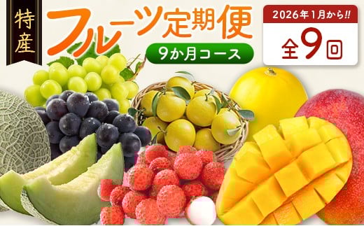 ＜数量限定＞新富町 特産フルーツ 詰め合わせ 定期便 9か月コース くだもの マンゴー ライチ メロン シャインマスカット ぶどう 柑橘 国産【F151-26】