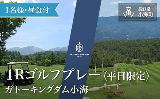 ガトーキングダム小海1Rゴルフプレー(昼食付) 平日限定 721354 - 長野県小海町