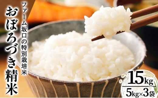 令和7年産!ファーム坂口の特別栽培米 おぼろづき精米 15kg(5kg×3) | 北海道岩見沢産 おぼろづき 玄米 5kg 10kg 15kg 北海道 岩見沢市 2259797 - 北海道岩見沢市