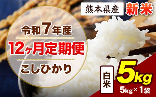 【12ヶ月定期便】令和7年産 定期便 こしひかり 5kg 新米 白米 阿蘇 うぶやま 米 定期便 熊本県産 ふるさと納税 精米 ひの 米 こめ ふるさとのうぜい コシヒカリ コメ お米 おこめ《申込み翌月から出荷》