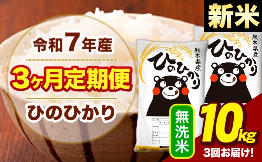 新米 令和7年産 【3ヶ月定期便】  無洗米 米 ひのひかり 10kg《お申し込み月の翌月から出荷開始》熊本県 大津町 国産 熊本県産 無洗米 送料無料 ヒノヒカリ こめ お米 