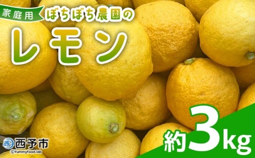 ＜ぼちぼち農園のレモン 家庭用 約3kg＞ 3キロ レモン れもん 檸檬 訳あり わけあり ワケアリ ご自宅用 ご家庭用 果物 柑橘 フルーツ アレンジ 料理 国産 国産レモン 愛媛県産 特産品 ぼちぼち農園 愛媛県 西予市【常温】『2026年1月～2月迄に順次出荷予定』
