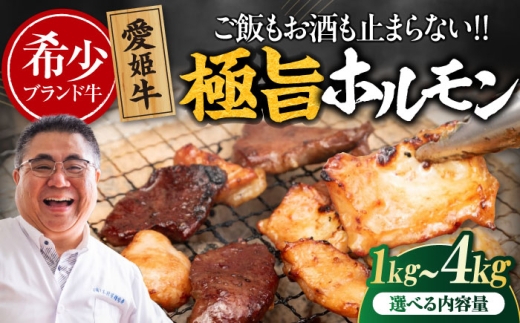 [冷凍] 愛姫牛 肉屋のこだわりお惣菜 タレ漬けミックスホルモン 500g×2パック 1kg 愛媛県大洲市/有限会社 木村屋精肉店 牛丼 牛肉 和牛 牛 国産 [AGCC068]国産和牛 愛媛県産 大洲市産 人気 おすすめ ランキング 簡単 おいしい お肉 肉 国産肉 焼肉 送料無料 お取り寄せ グルメ ホルモン 冷凍 焼き肉 BBQ バーベキュー ホルモン焼きそば ホルモン炒め